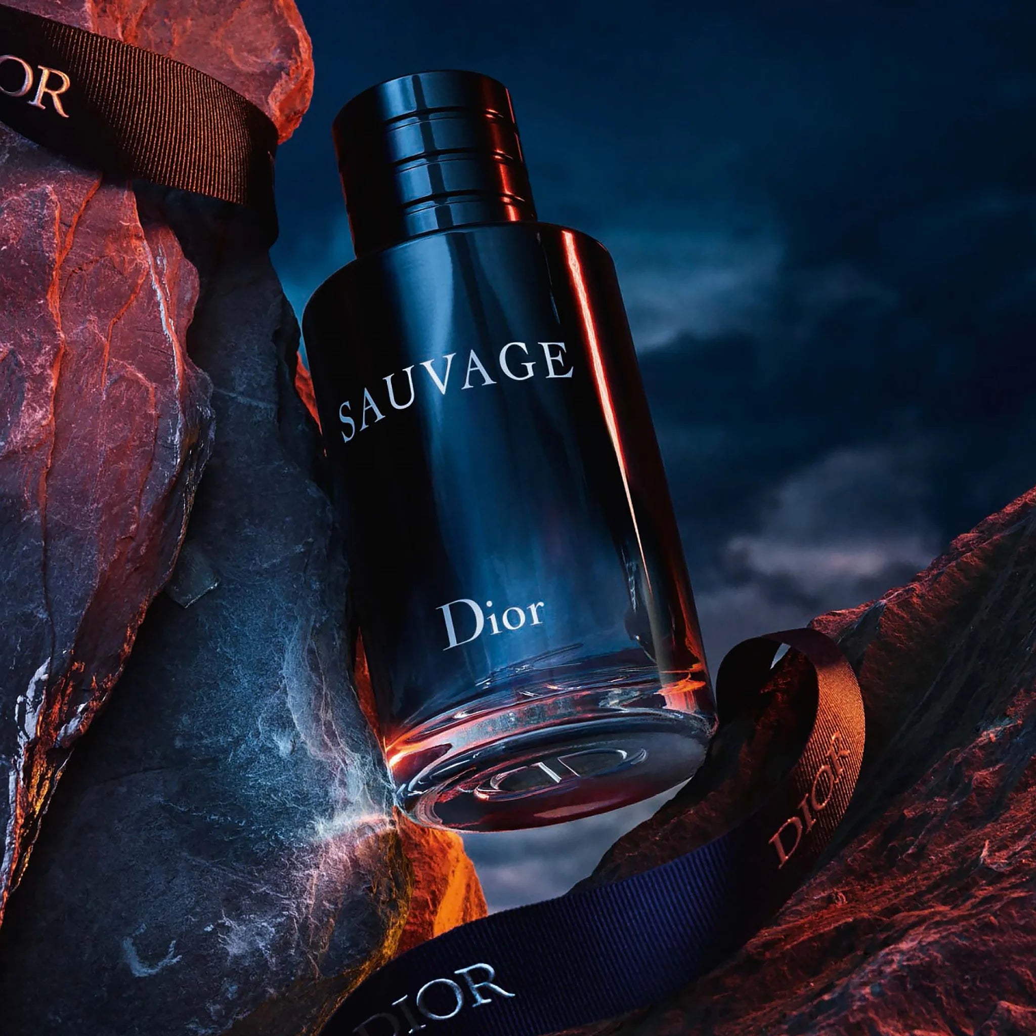 SAUVAGE CHRISTIAN DIOR EDT - DECANTS