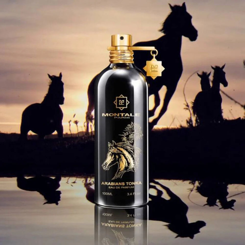 Arabians Tonka Montale